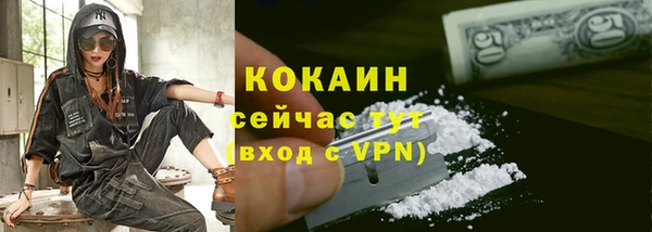 стаф Абаза