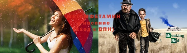 стаф Абаза