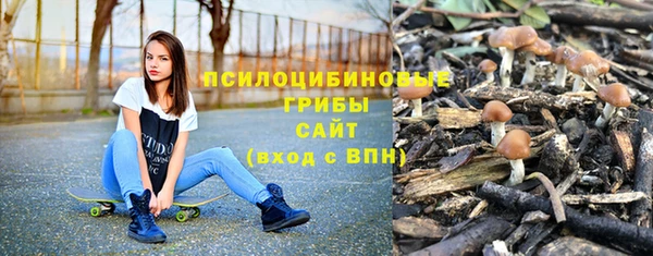 ALPHA-PVP Алексин
