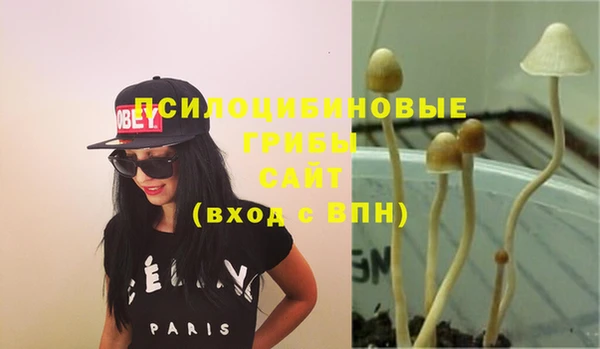 гашик Абинск