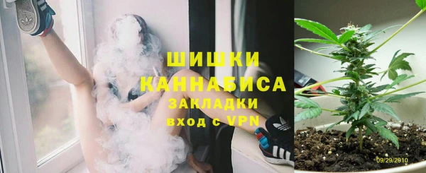 стаф Абаза